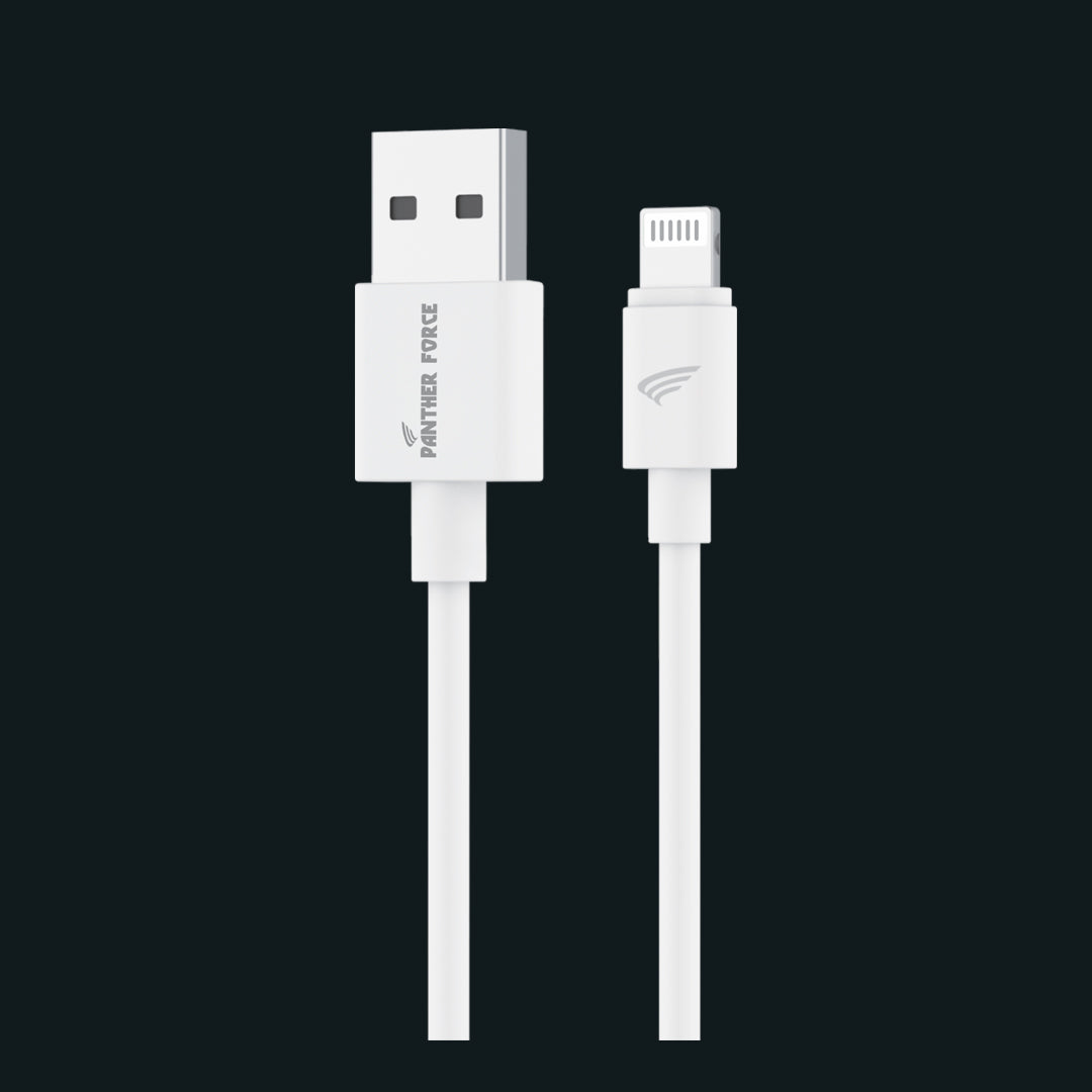 USB to iPhone 1M Fast Charging Cable for iPhone 11